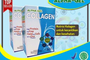 Jual Alpha Gel Collagen di Baa