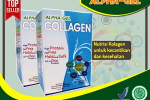 Jual Alpha Gel Collagen di Langgur
