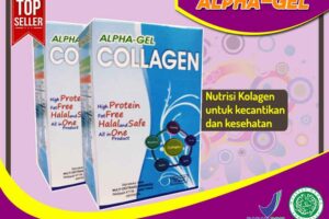 Jual Alpha Gel Collagen di Lingga