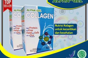 Jual Alpha Gel Collagen di Sleman