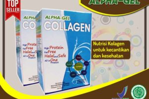 Jual Alpha Gel Collagen di Karangasem