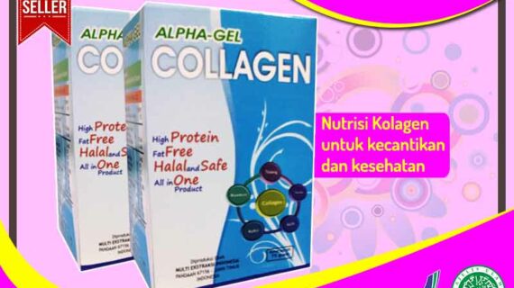 Daftar Harga Alpha Gel Collagen Kemasan Asli