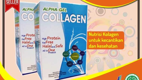 Jual Alpha Gel Collagen di Puncak