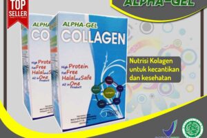 Jual Alpha Gel Collagen di Aek Kanopan