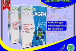 Jual Alpha Gel Collagen di Merauke