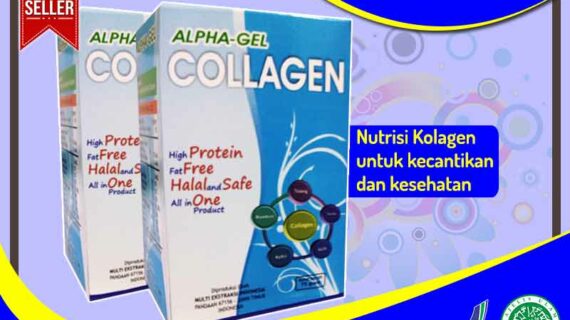Daftar Harga Alpha Gel Collagen Kemasan Original